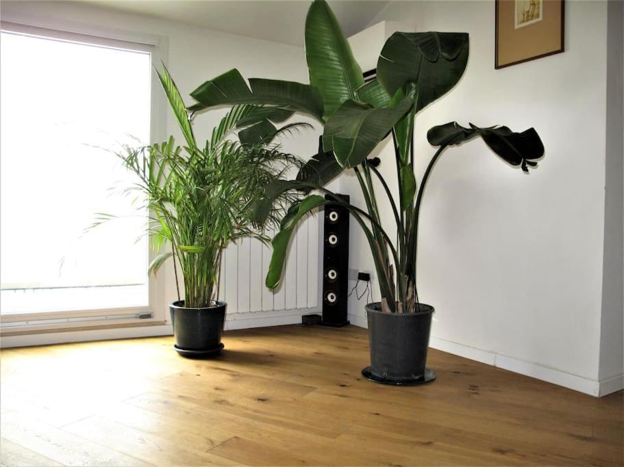 Appartement Prati Fiscali Penthouse